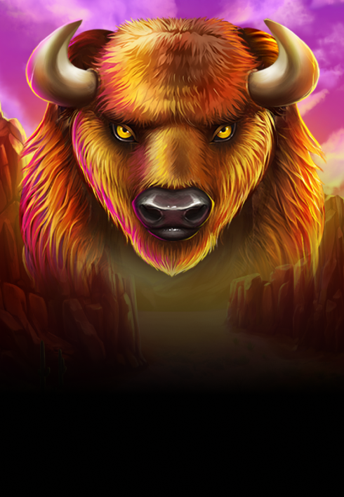 Bison Bonanza