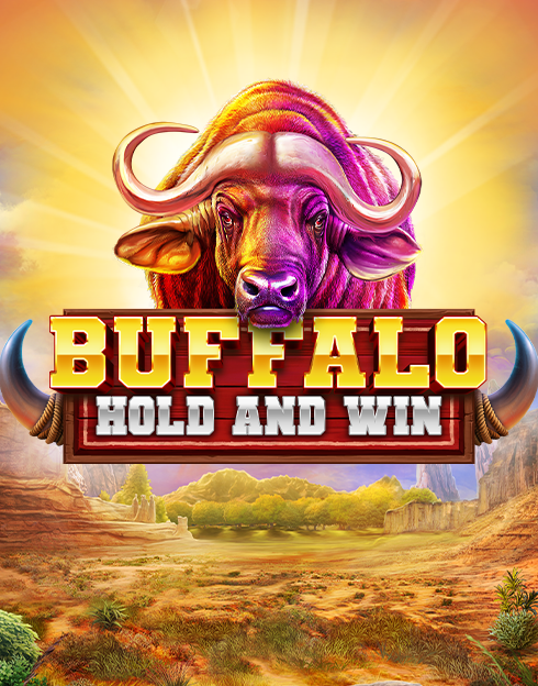 Buffalo Hold and Win