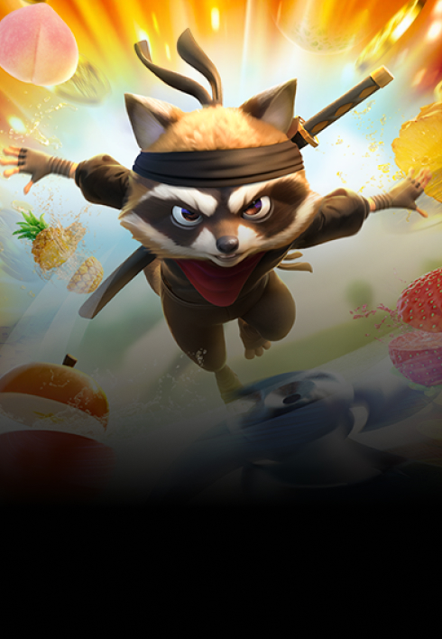 Ninja Raccoon Frenzy