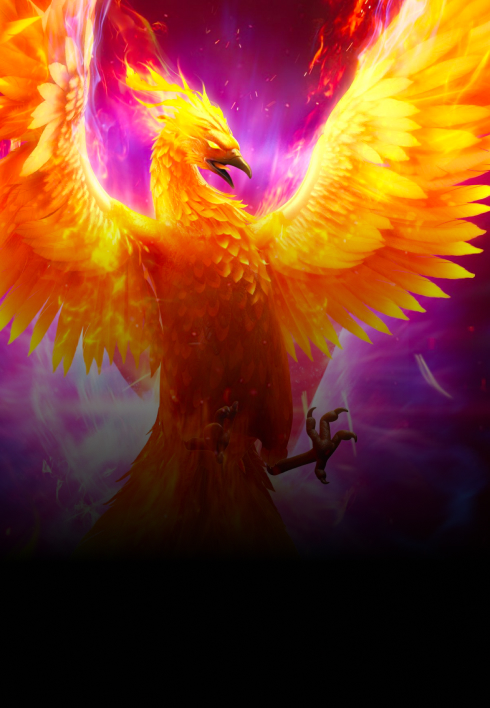 Phoenix Rises