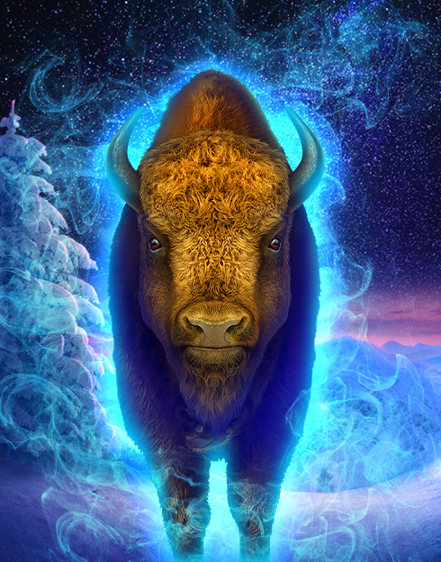 Buffalo Ice