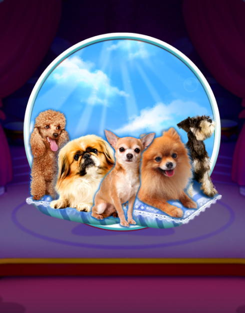 Doggone Lucky