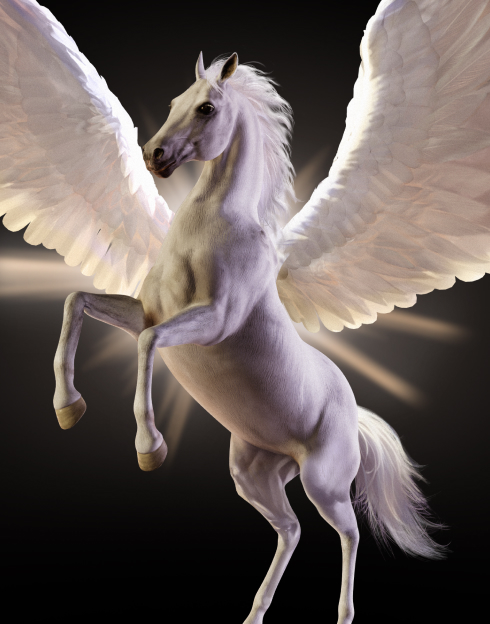 Divine Fortune Black