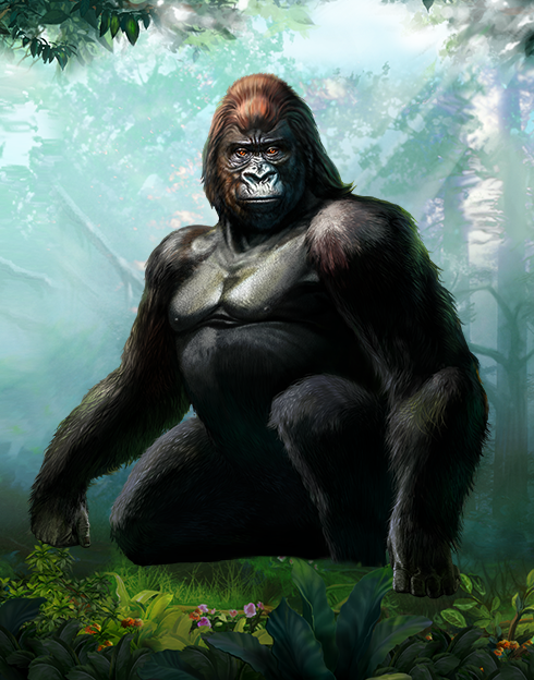 Gorilla