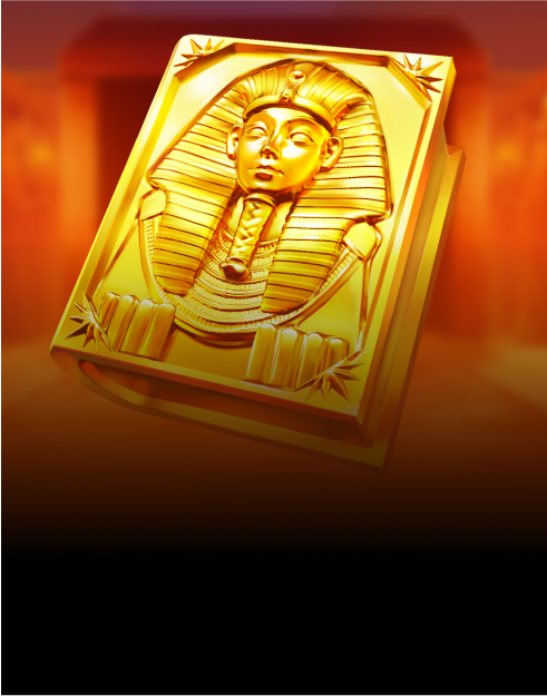 Book of Gold: Multichance