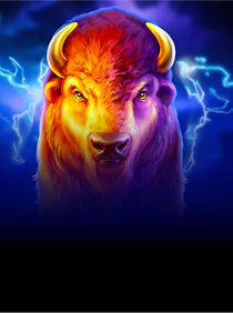 Buffalo Power 2: Hold and Win