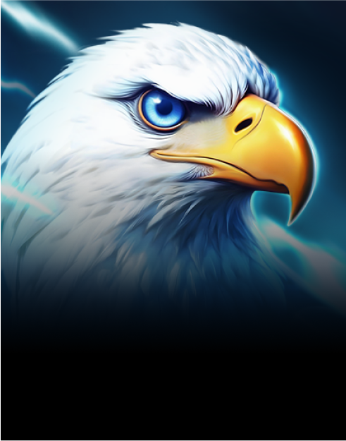 King of the Sky: Hit the Bonus