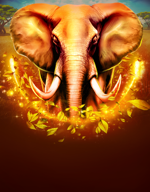 Elephant Stampede SE