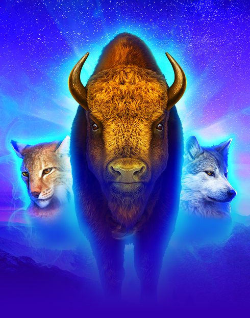 Buffalo Coin: Hold The Spin