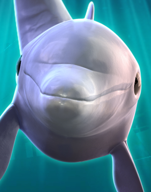 Aquatic Treasures Coast 2 Coast