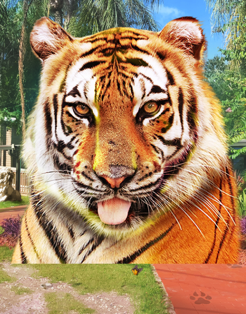 Big Cat Rescue Megaways