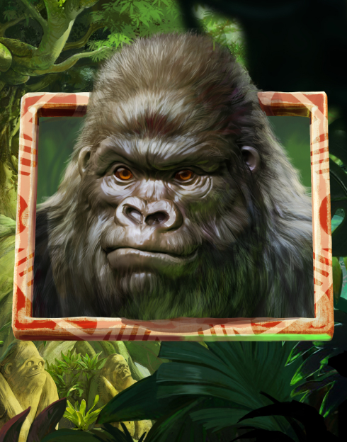 Gorilla Kingdom
