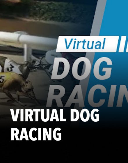 Virtual Dog Racing