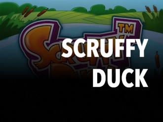 Scruffy Duck