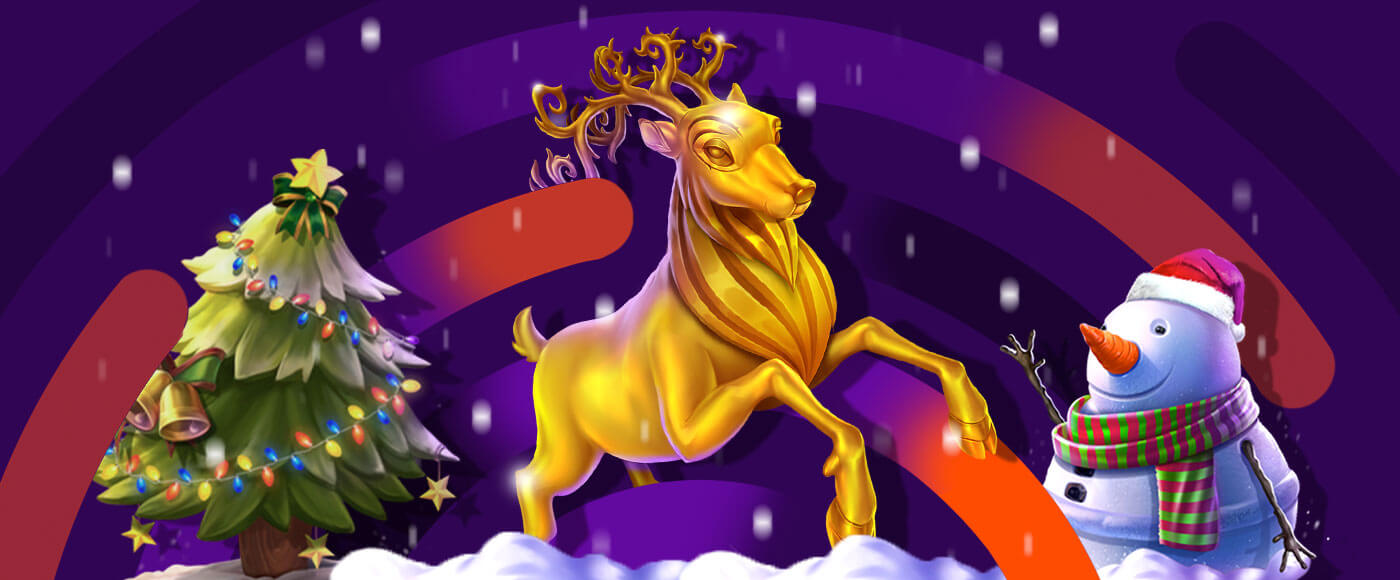 Swintter의 원더랜드 🦌 