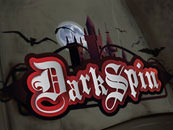 Dark Spin