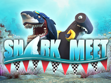 Shark Meet