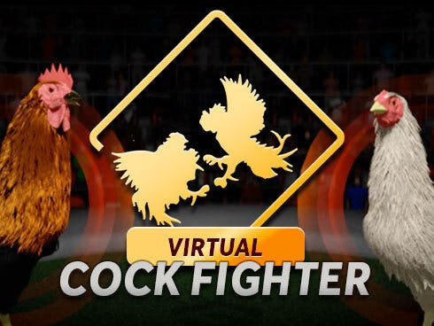 Virtual Cock Fighter
