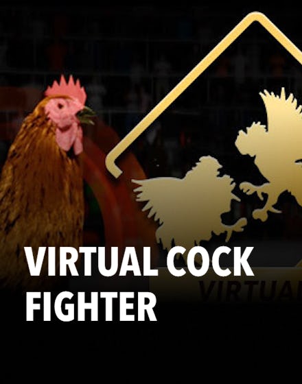 Virtual Cock Fighter