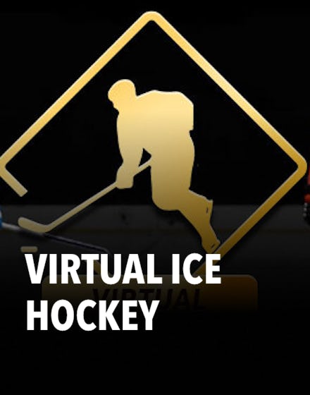 Virtual Ice Hockey