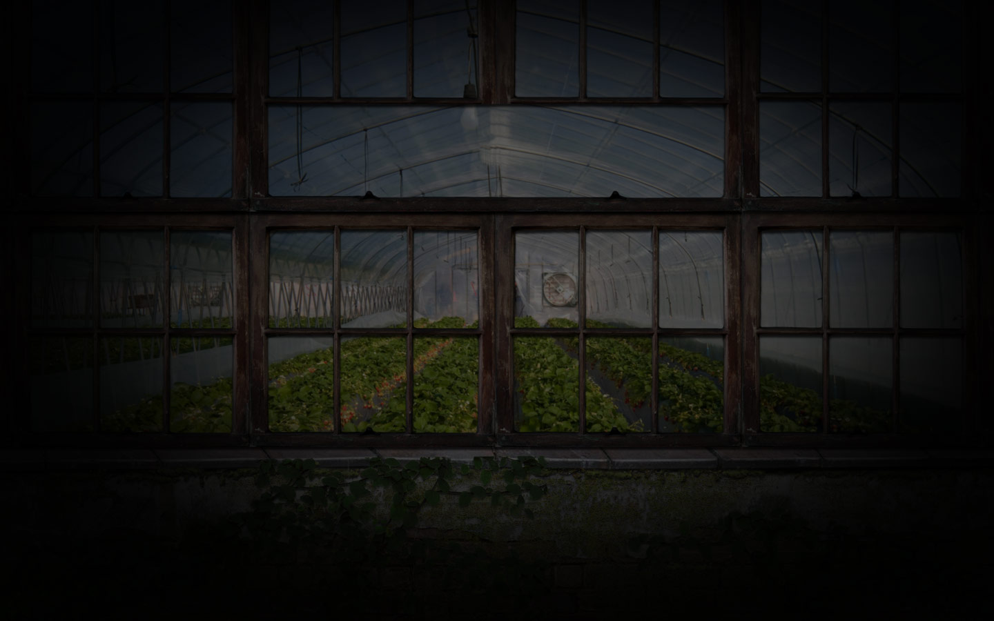 mrs-greens-plant-emporium-video-slot