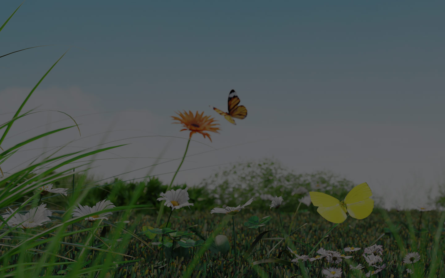 show-me-the-honey-video-slot