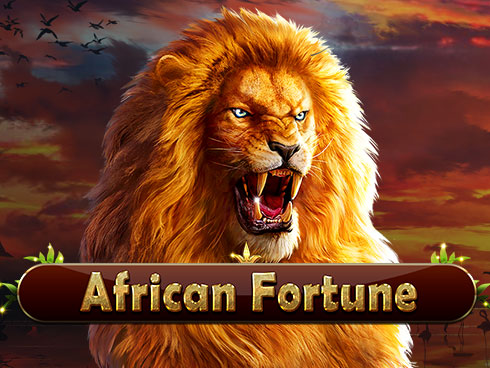 African Fortune