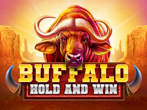 Buffalo Hold and Win