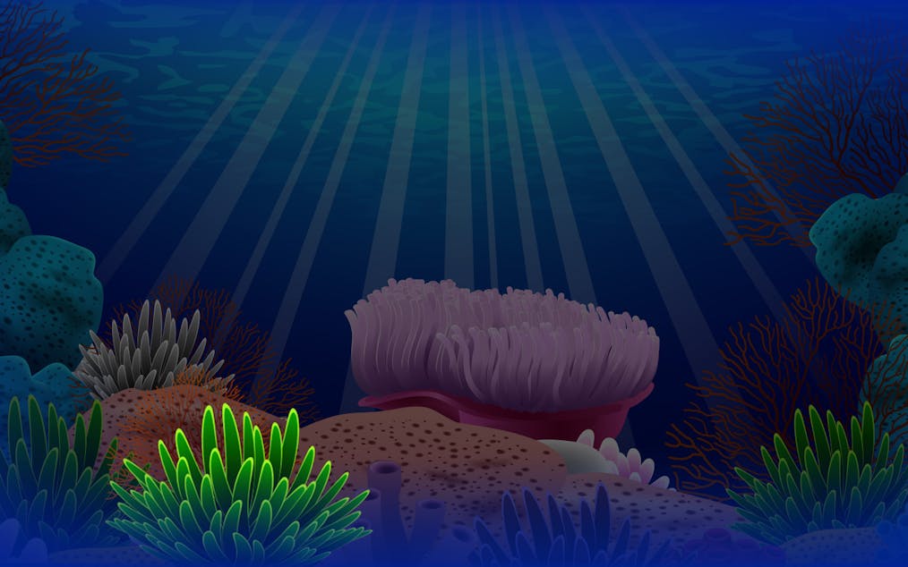 coral-island