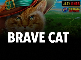 Brave Cat