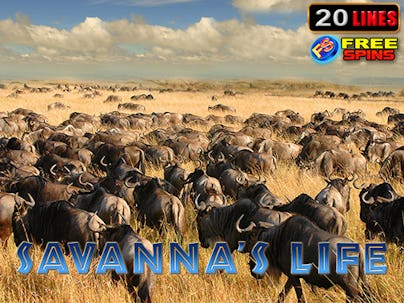 Savanna's Life