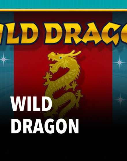 WIld Dragon