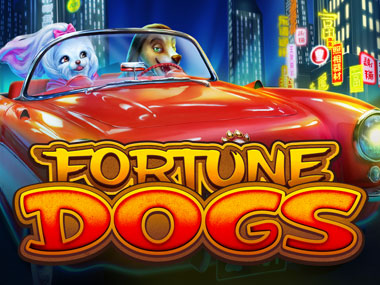 Fortune Dogs