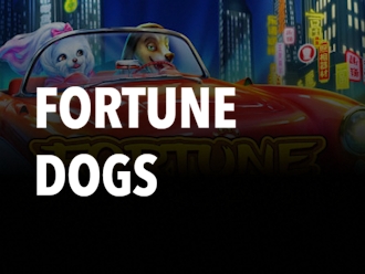 Fortune Dogs