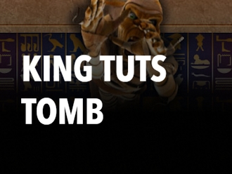 King Tuts Tomb