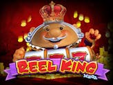 Reel King Mega