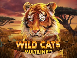 Захватывающий слот Wild Cats Multiline, его особенности и процесс игры в казино Пин Ап