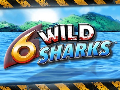6 WILD SHARKS