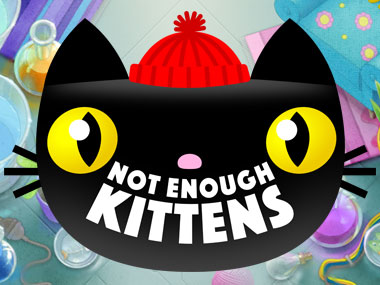 Not Enough Kittens