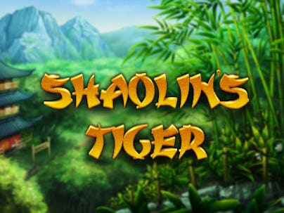 Shaolins Tiger