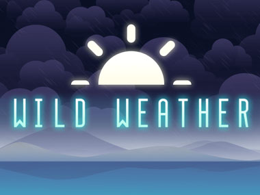 Wild Weather