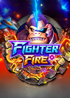 Fighter Fire