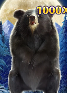 Formosa Bear