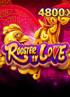 Rooster In Love