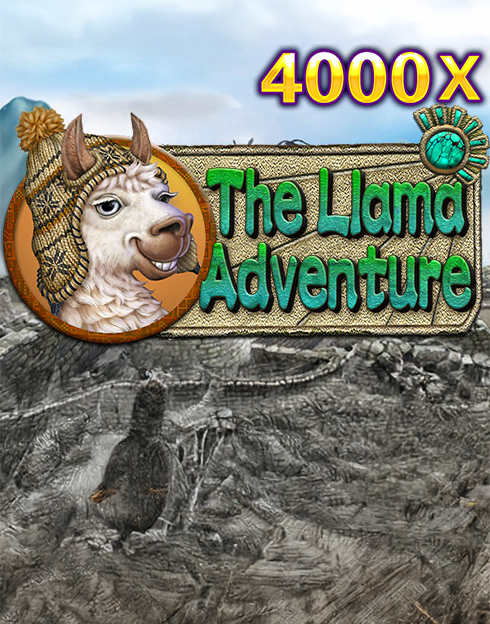 The Llama Adventure