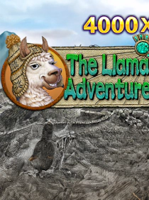 The Llama Adventure
