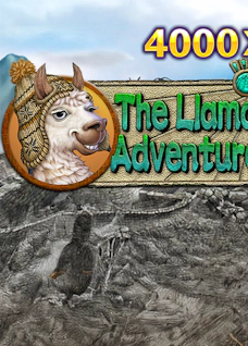 The Llama Adventure