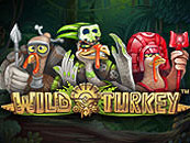 Wild Turkey