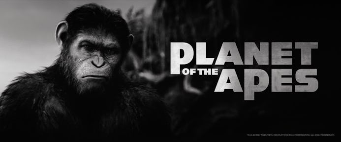 Bitcasino taking you to the Planet of the Apes!