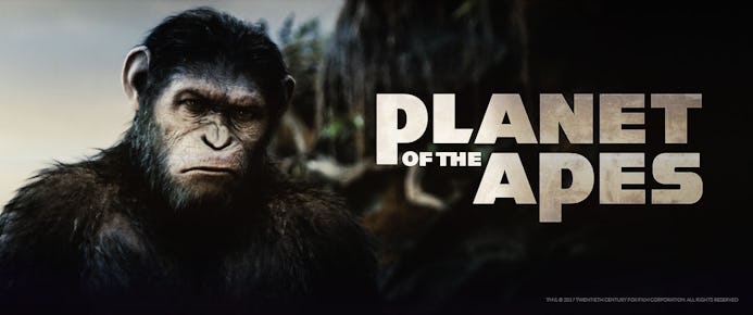 Bitcasino taking you to the Planet of the Apes!